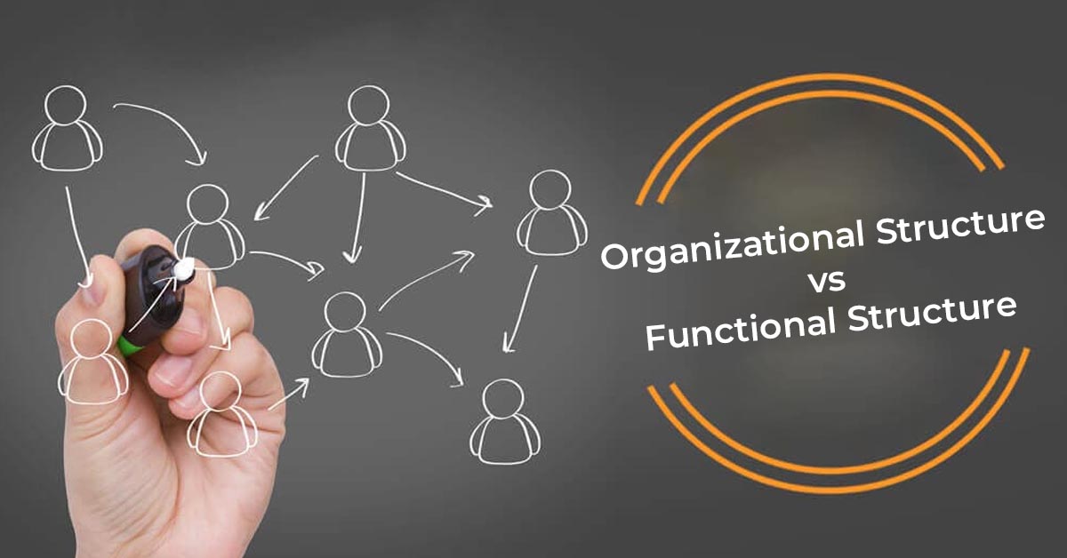 الفرق بين الهيكل التنظيمي والهيكل الوظيفي في الشركات